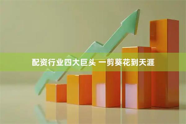 配资行业四大巨头 一剪葵花到天涯